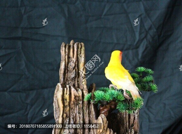 鳥
