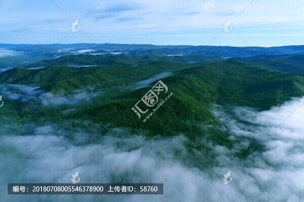 森林云海