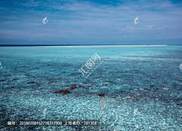 海洋素材