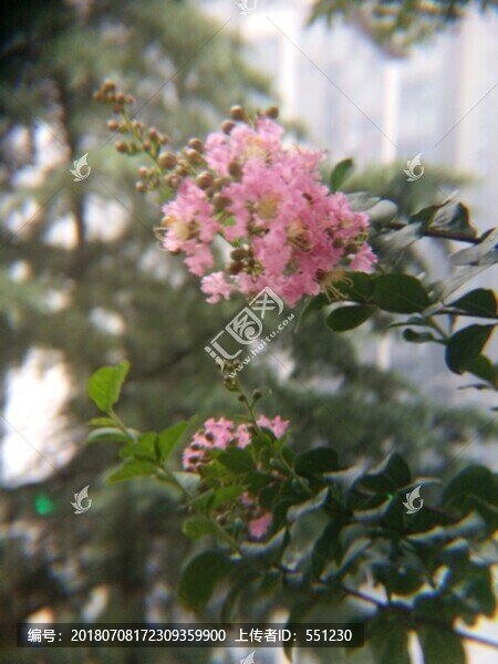 西安桃花潭公園