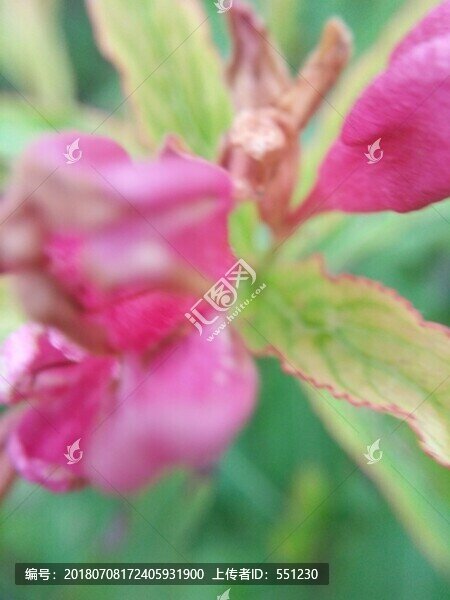 西安桃花潭公園