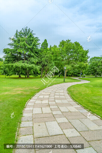 公園草坪樹林石板路