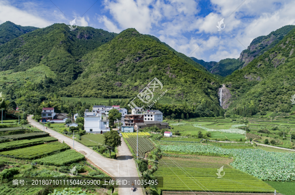 農(nóng)村風光