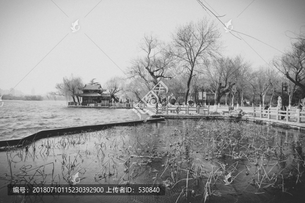 老濟(jì)南大明湖懷舊照片