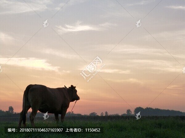 晚霞夕陽真牛