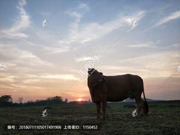 晚霞夕陽真牛