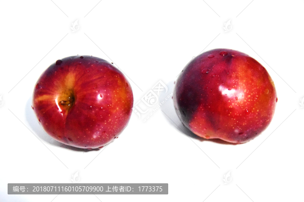 紅布林李子