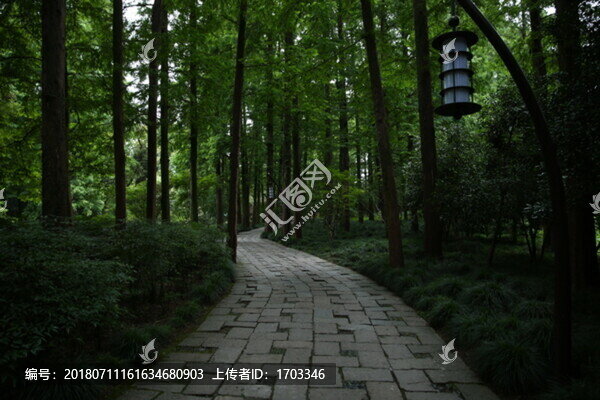 林蔭小道