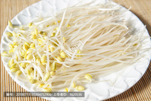 黃豆芽