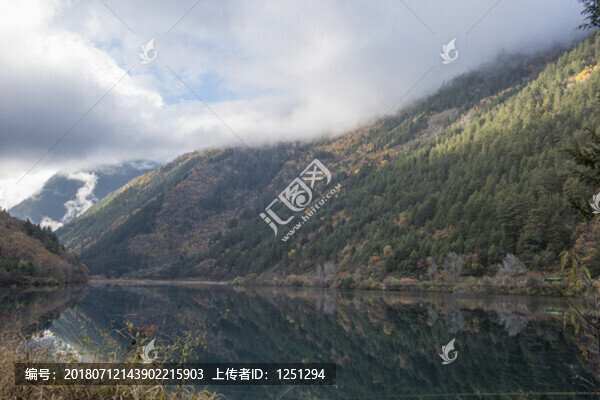 犀牛海