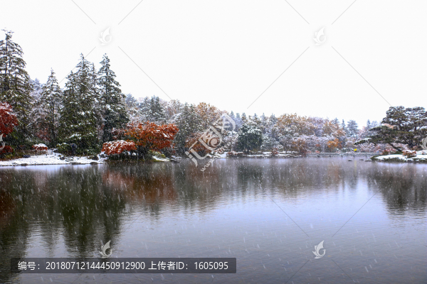 湖邊飄雪