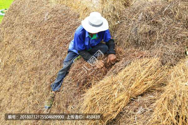 苫匠