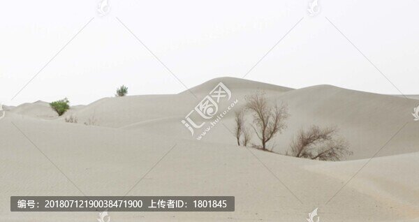 塔克拉瑪干沙漠
