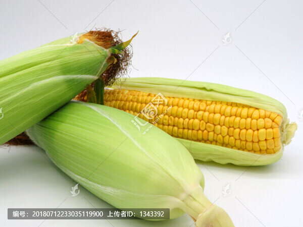 玉米