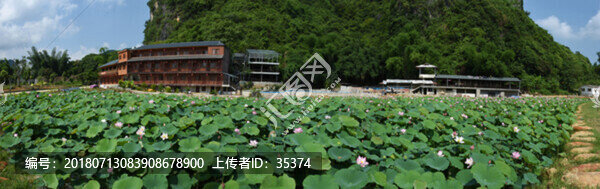 荷花池全景圖