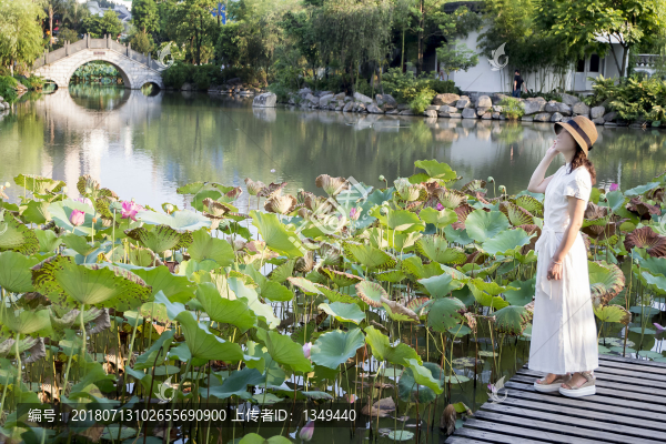 賞荷的女人