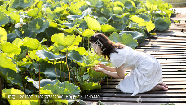 賞荷的女人