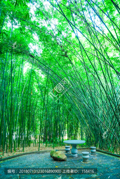 詩情畫意的竹林竹園