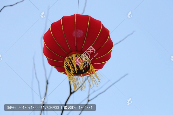 紅燈籠