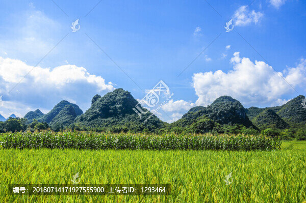 綠色田園風(fēng)光