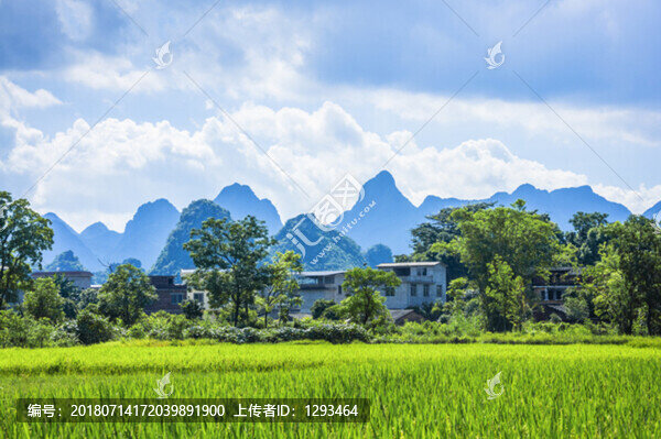 夏日田園風(fēng)光