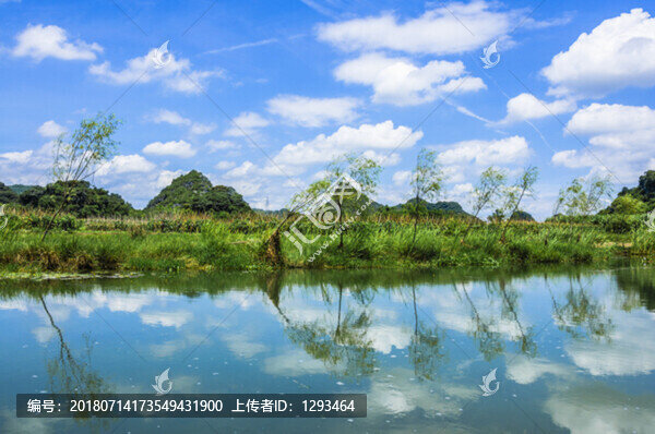 夏日田園風(fēng)光