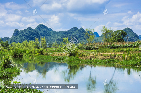 夏日田園風(fēng)光