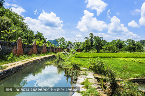 夏日田園
