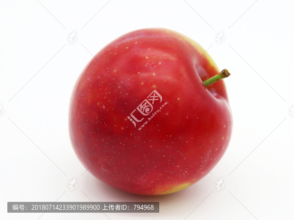 李子