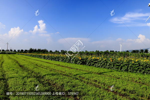 環(huán)保風(fēng)景線