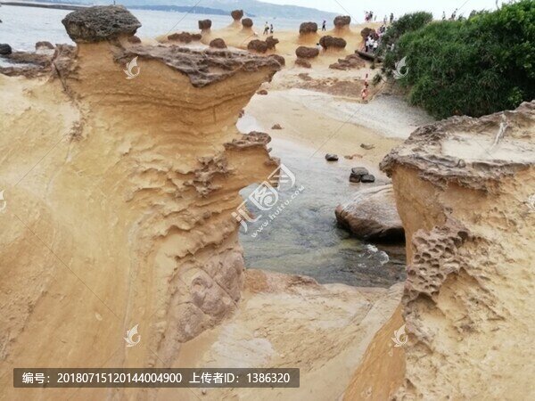 臺(tái)北臺(tái)灣野柳地質(zhì)公園化石