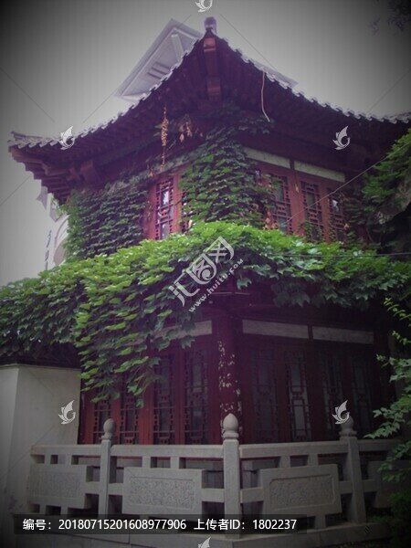 建筑和綠植