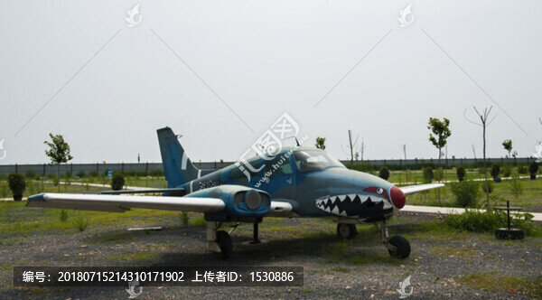 二戰(zhàn)老飛機