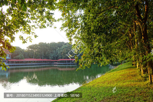 華南植物園園林風(fēng)光