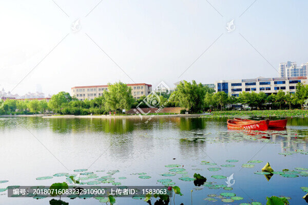 大學(xué)校園