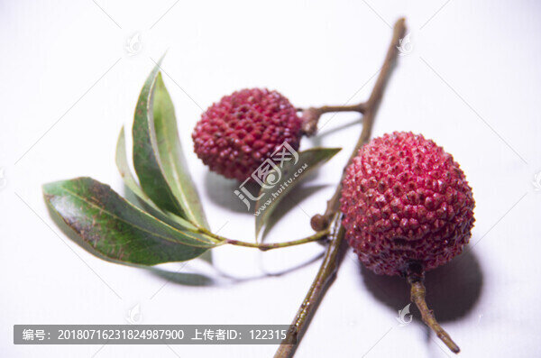 荔枝
