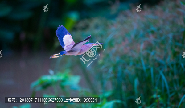 濕地公園