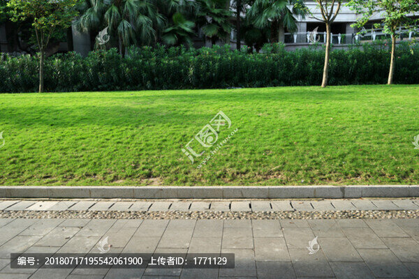 草坪背景