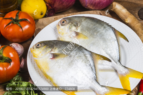 金鯧魚