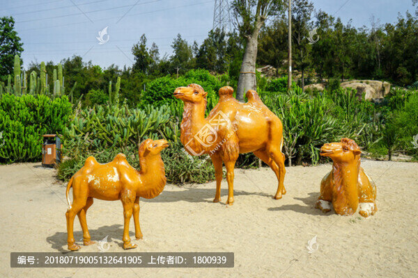 駱駝雕像