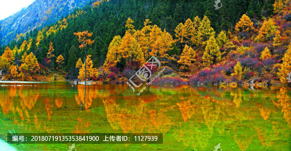 高山湖水