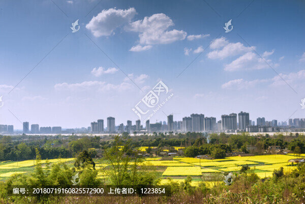 油菜花田園田野鄉(xiāng)村城市晨曦
