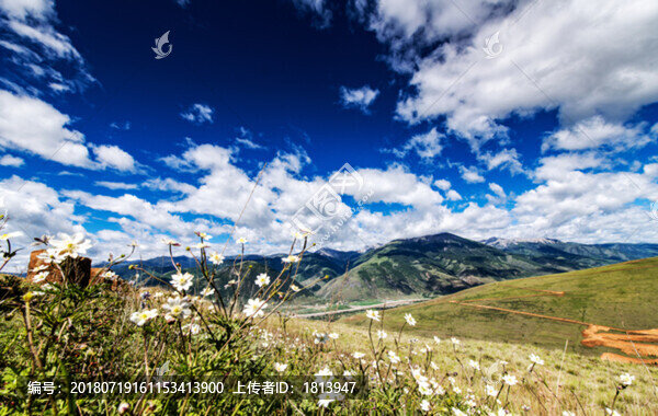 醉美川西玉科草原