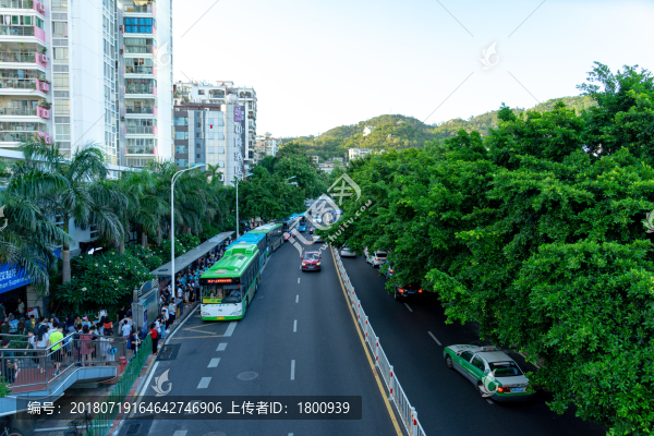 馬路