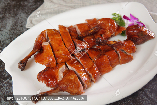 小刀鴨