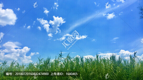 藍天白云青草