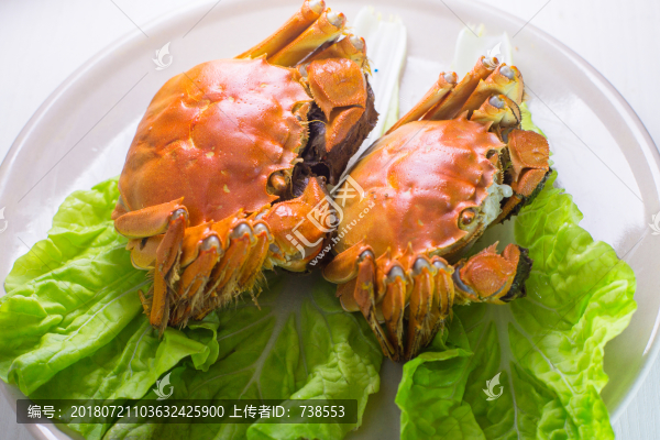 陽(yáng)澄湖大閘蟹