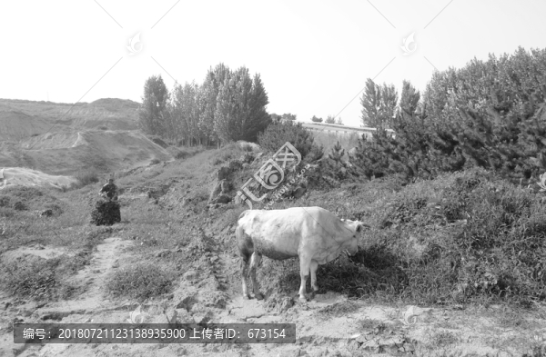 農(nóng)村老照片