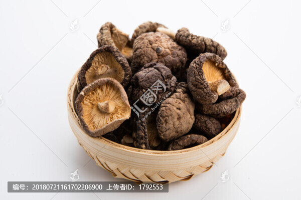 食用菌