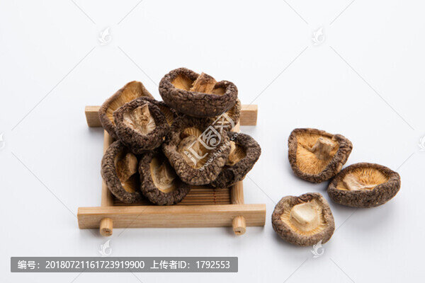 野生菌